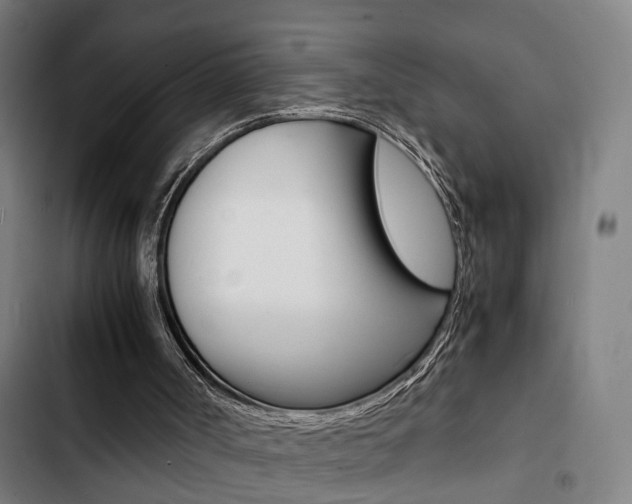 X0000103330002200809051033
