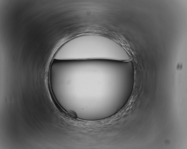 X0000103330003200809051033