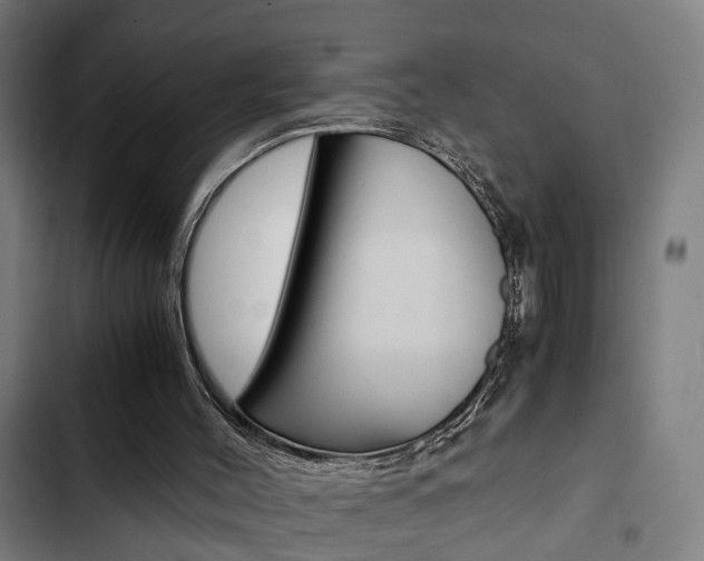 X0000103330004200809051033