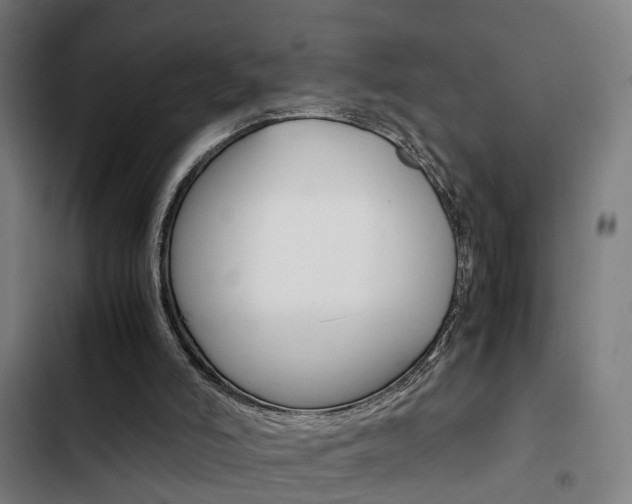 X0000103330006200809051032