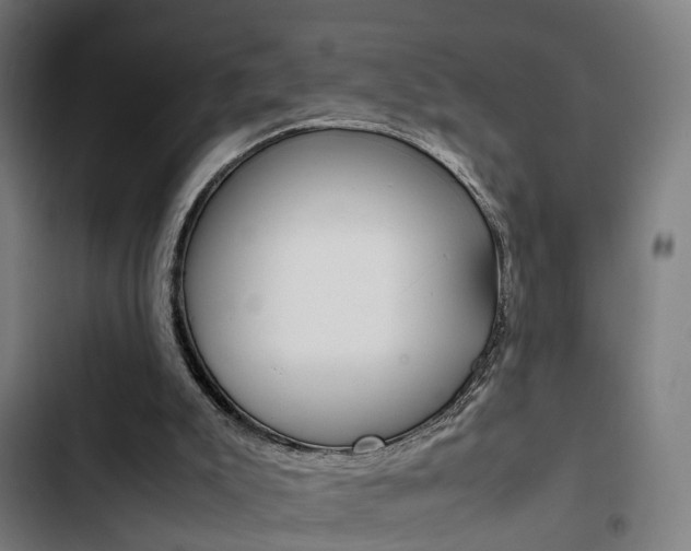 X0000103330007200809051032
