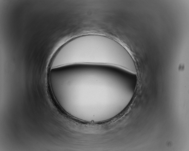 X0000103330008200809051032