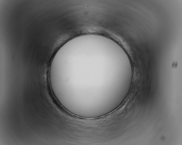 X0000103330010200809051032