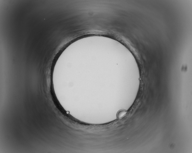 X0000103330011200809051032