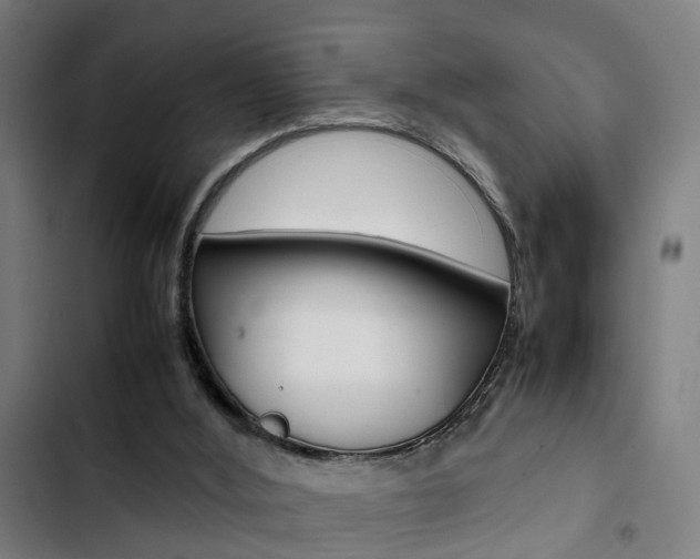 X0000103330012200809051032