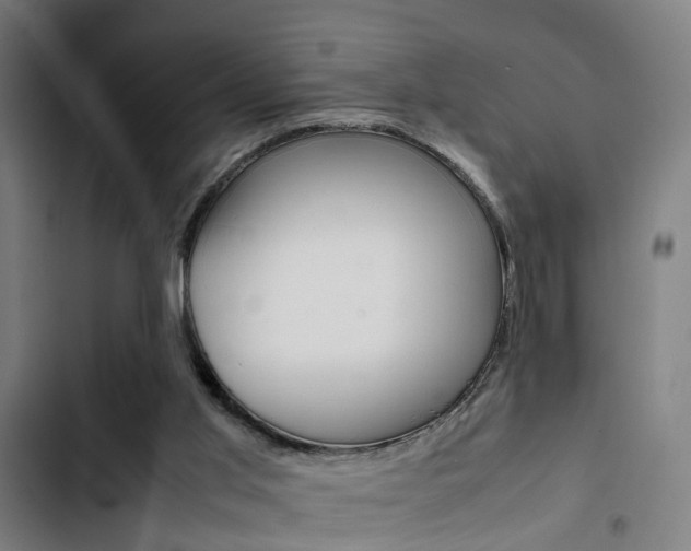 X0000103330013200809051032