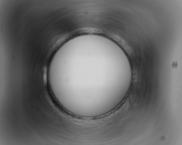 X0000103330014200809051032