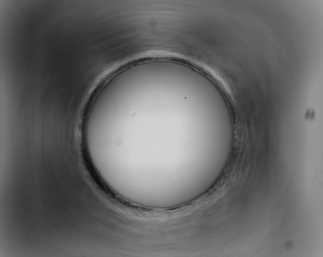 X0000103330015200809051032