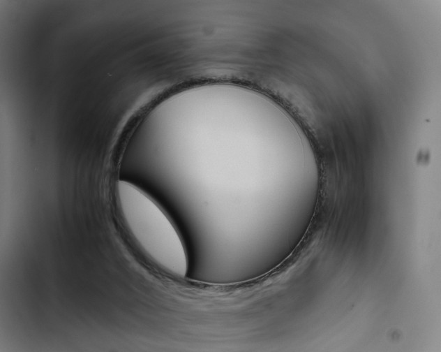 X0000103330016200809051032