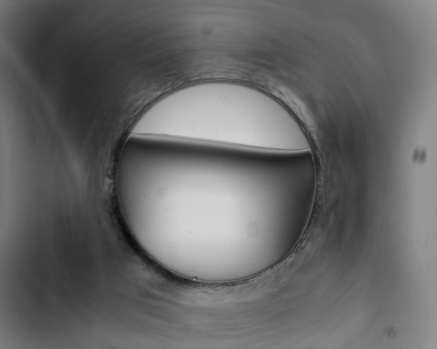 X0000103330017200809051032
