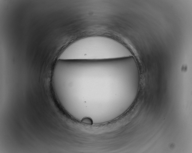 X0000103330018200809051032