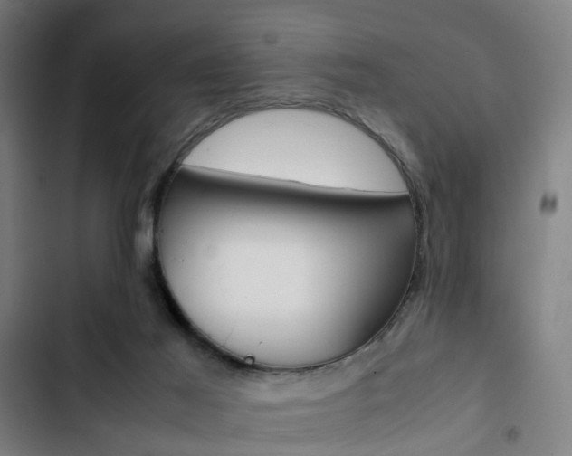 X0000103330021200809051032
