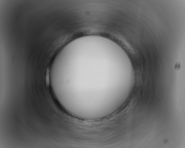 X0000103330022200809051032