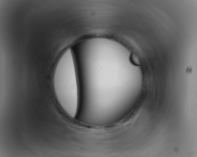 X0000103330024200809051032