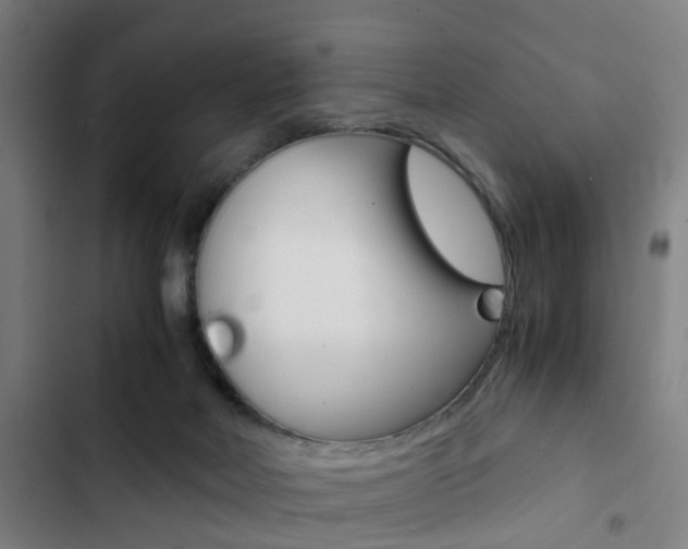 X0000103330026200809051032