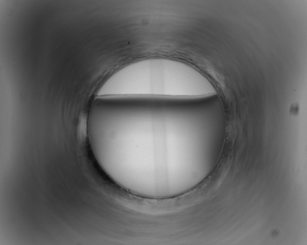 X0000103330027200809051032