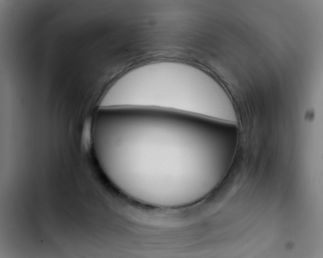 X0000103330028200809051032