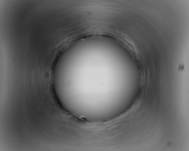 X0000103330029200809051032