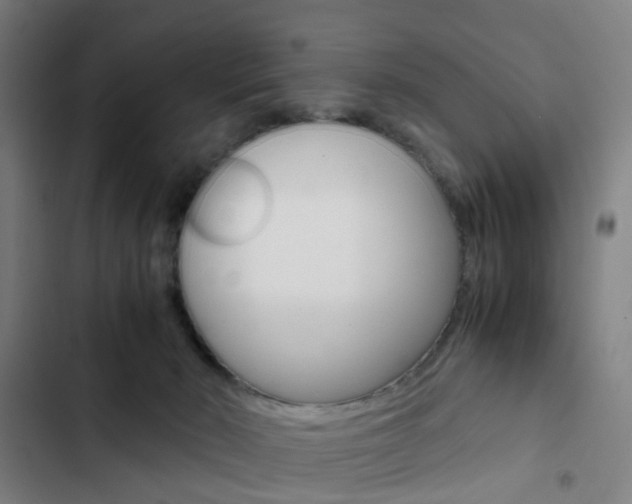 X0000103330030200809051032