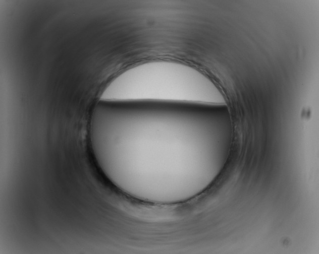 X0000103330032200809051032
