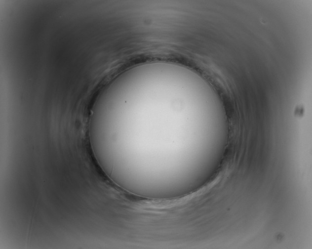 X0000103330033200809051032