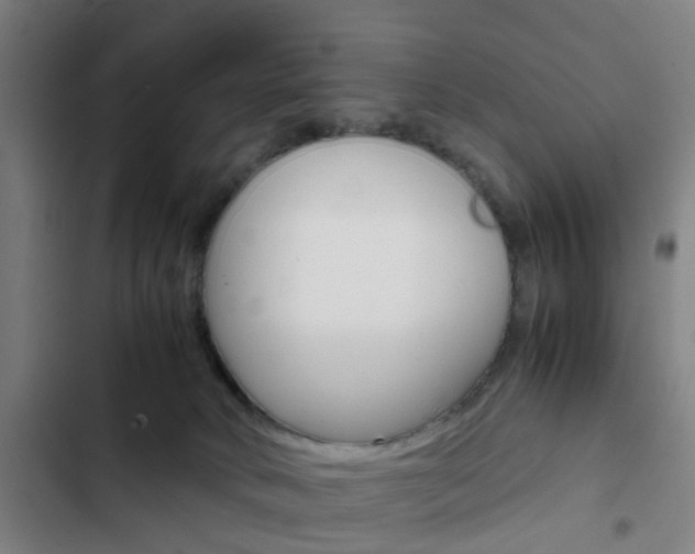 X0000103330034200809051032
