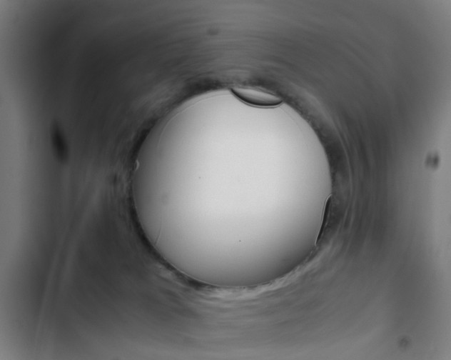 X0000103330037200809051032