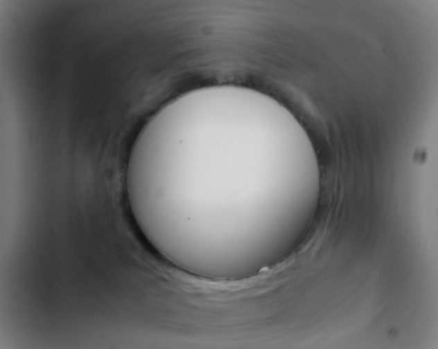 X0000103330039200809051032