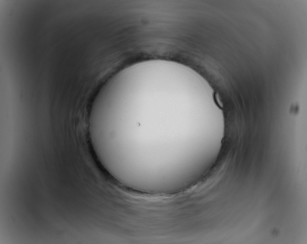 X0000103330040200809051032