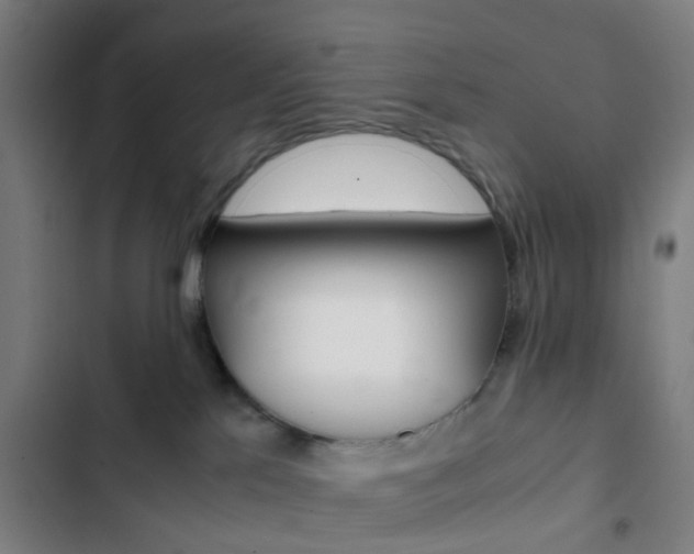 X0000103330041200809051032