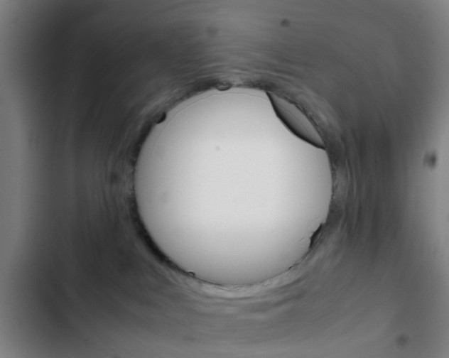 X0000103330043200809051032