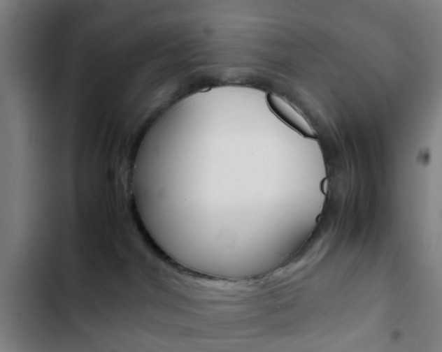 X0000103330044200809051032
