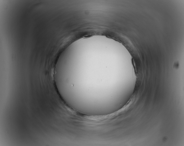 X0000103330045200809051032