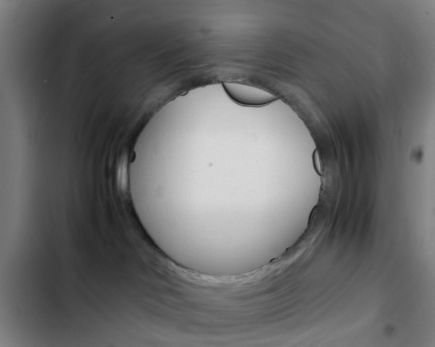 X0000103330046200809051032