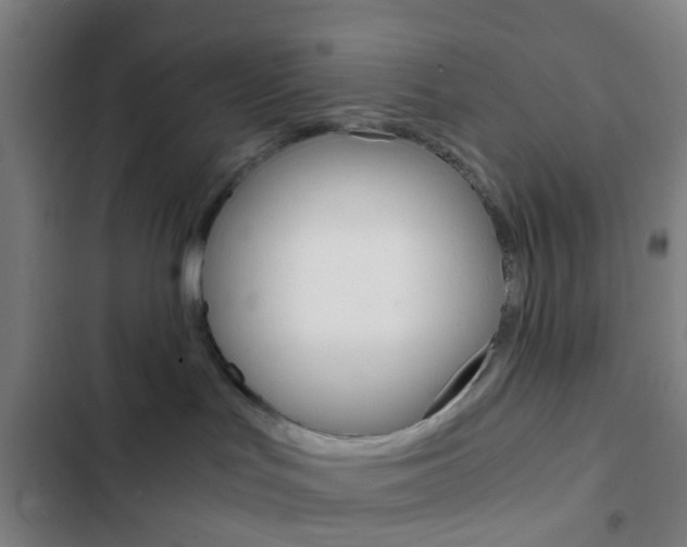 X0000103330047200809051032