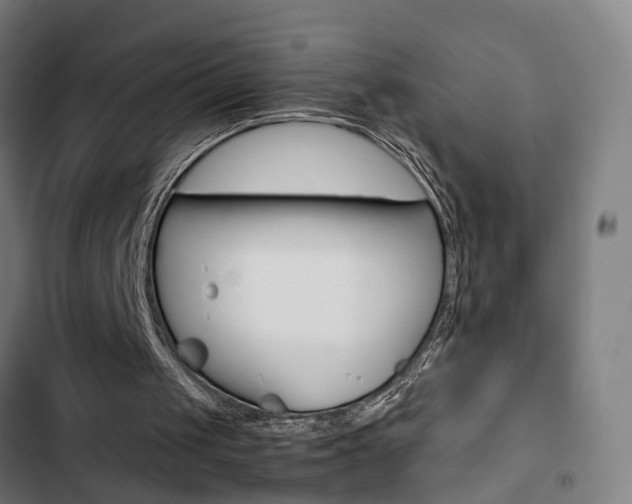 X0000103330049200809051031