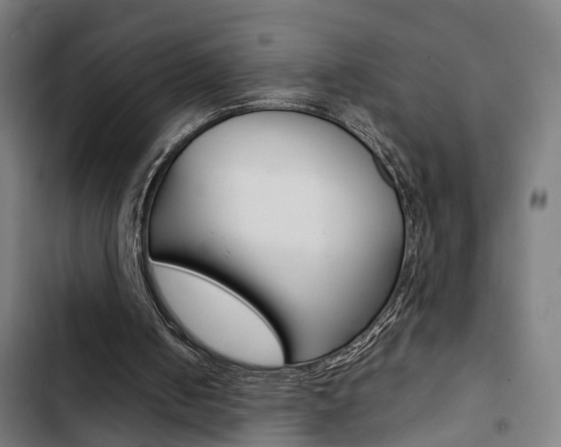 X0000103330050200809051031