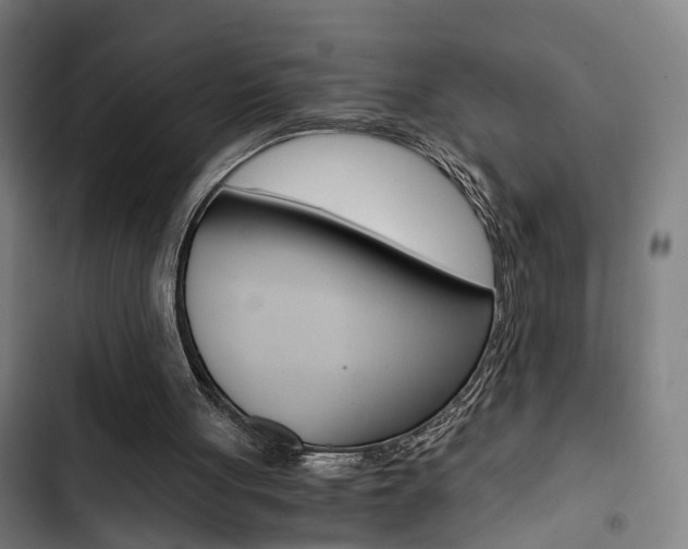 X0000103330051200809051031