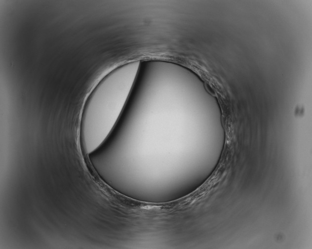 X0000103330052200809051031