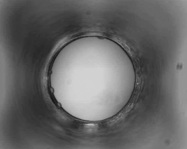 X0000103330053200809051031