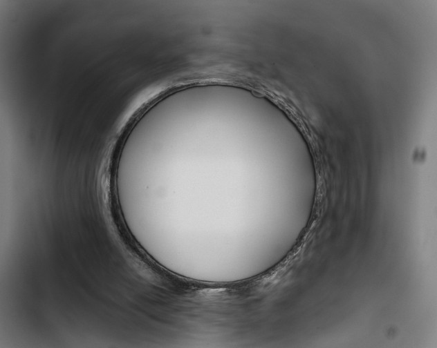 X0000103330054200809051031