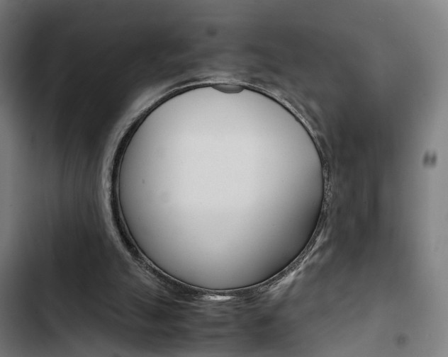 X0000103330055200809051031