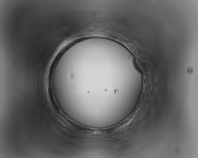 X0000103330056200809051031