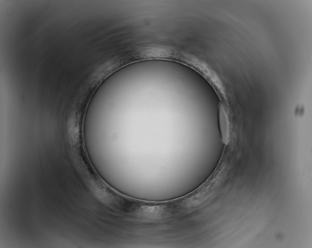 X0000103330057200809051031