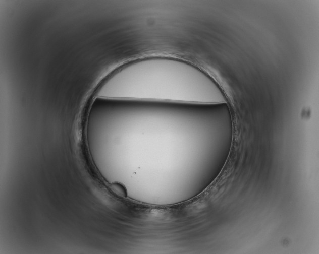 X0000103330060200809051031