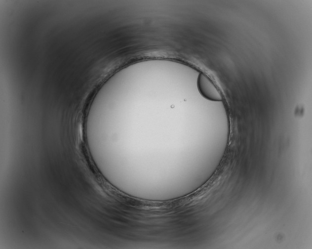 X0000103330061200809051031
