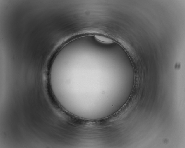 X0000103330064200809051031