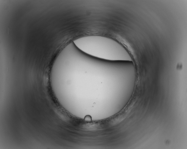 X0000103330065200809051031