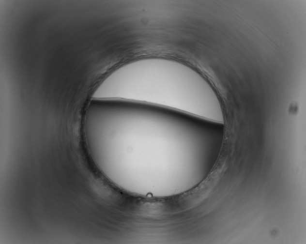 X0000103330066200809051031