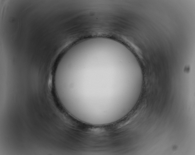 X0000103330067200809051032